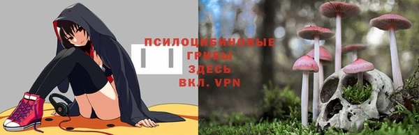 spice Аркадак