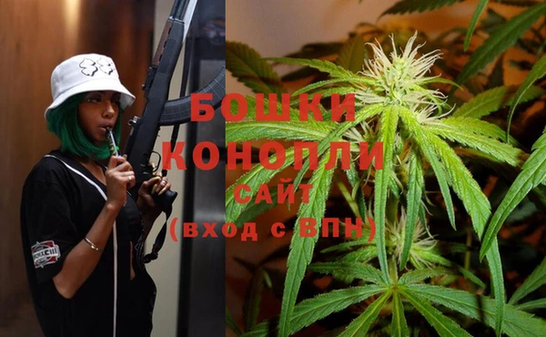 ГАЛЛЮЦИНОГЕННЫЕ ГРИБЫ Армянск