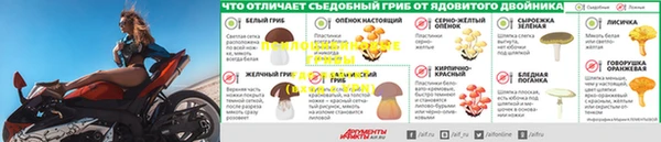 гашик Алзамай