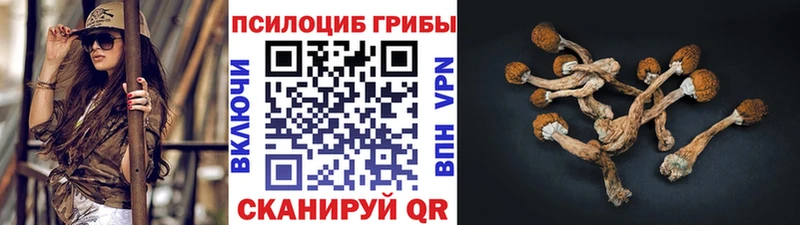 что такое наркотик  Циолковский  Галлюциногенные грибы Psilocybine cubensis 