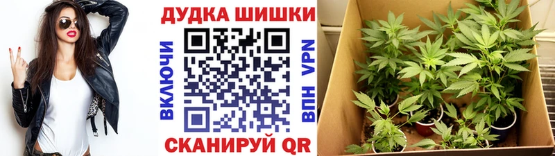 продажа наркотиков  Циолковский  Бошки марихуана гибрид 