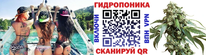 Марихуана OG Kush Циолковский
